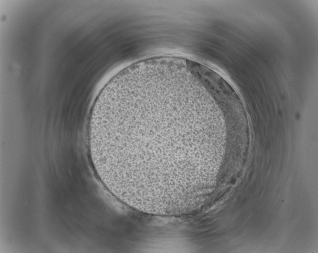 X0000085071056200704021406