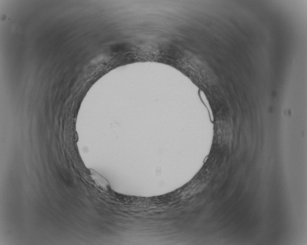 X0000085071057200704021405