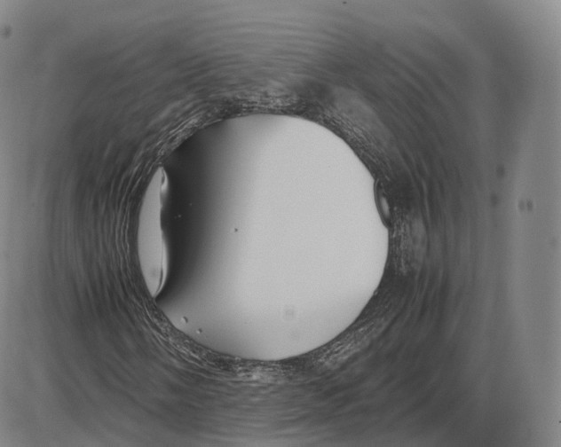 X0000085071058200704021405