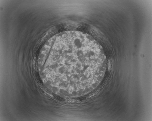 X0000085071059200704021405