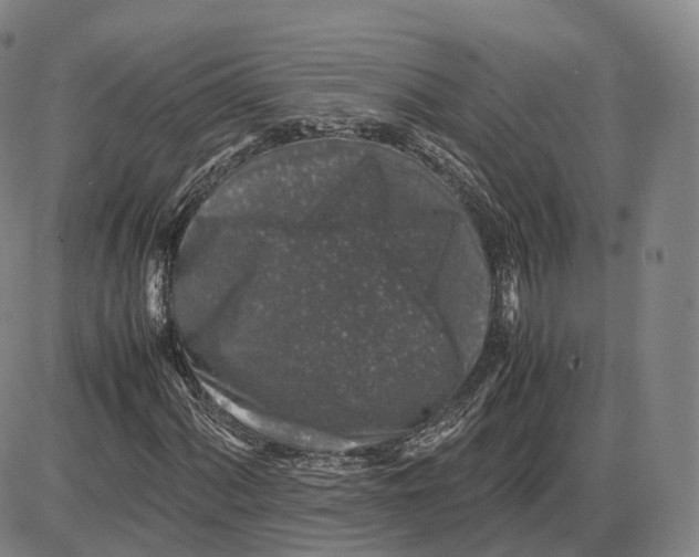 X0000085071060200704021405