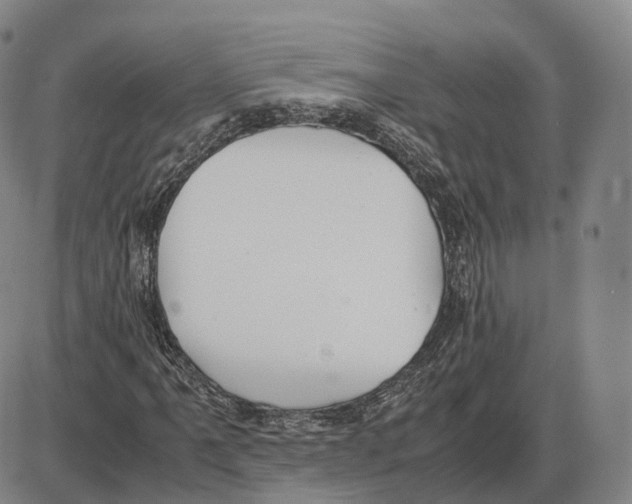 X0000085071061200704021405