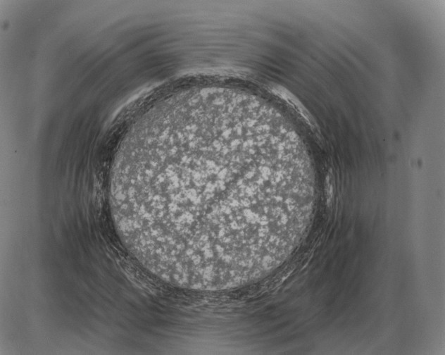 X0000085071064200704021405