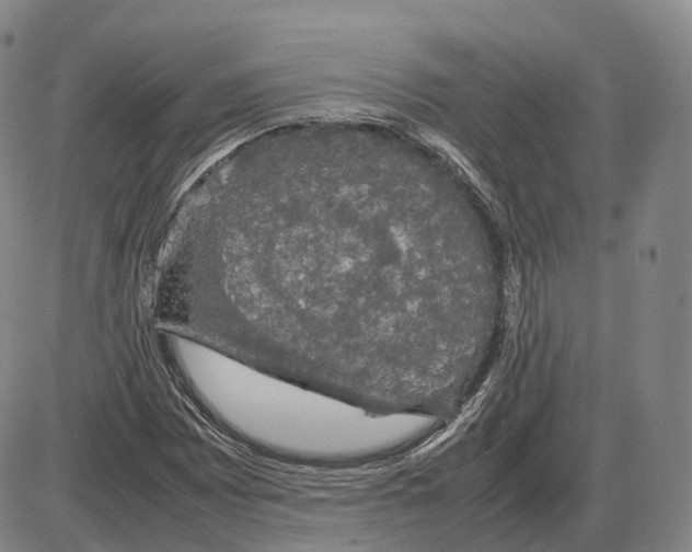 X0000085071065200704021405