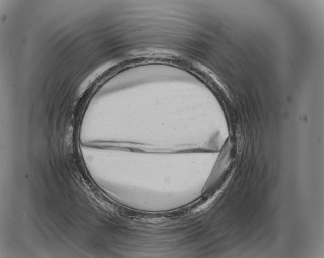 X0000085071066200704021405