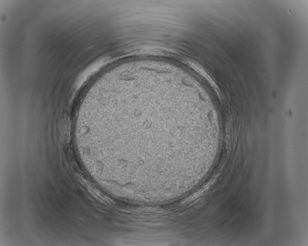 X0000085071067200704021405