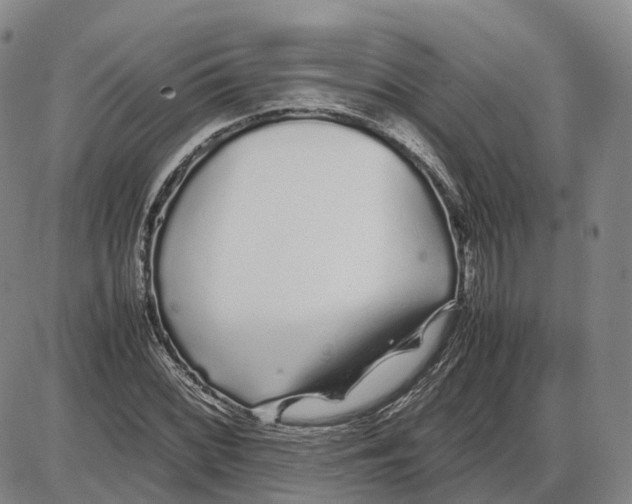 X0000085071068200704021405