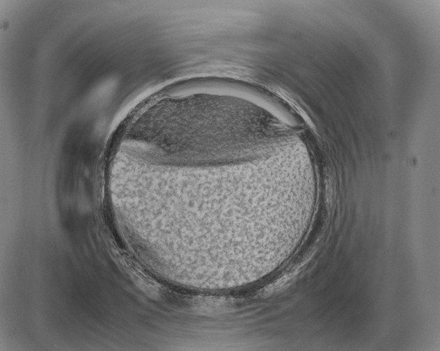 X0000085071069200704021405