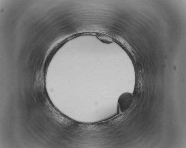 X0000085071072200704021405