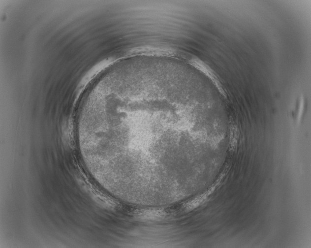 X0000085071074200704021405