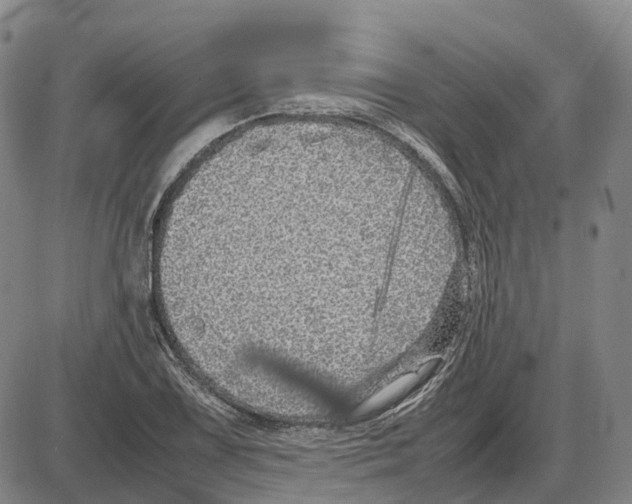 X0000085071075200704021405