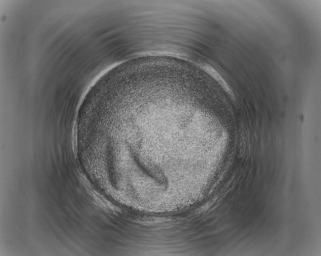 X0000085071076200704021405