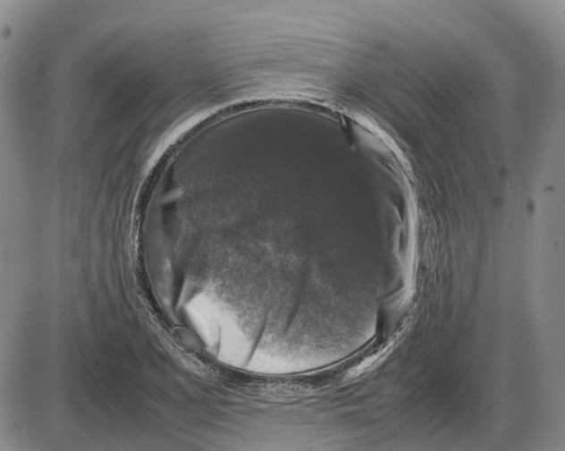 X0000085071077200704021405