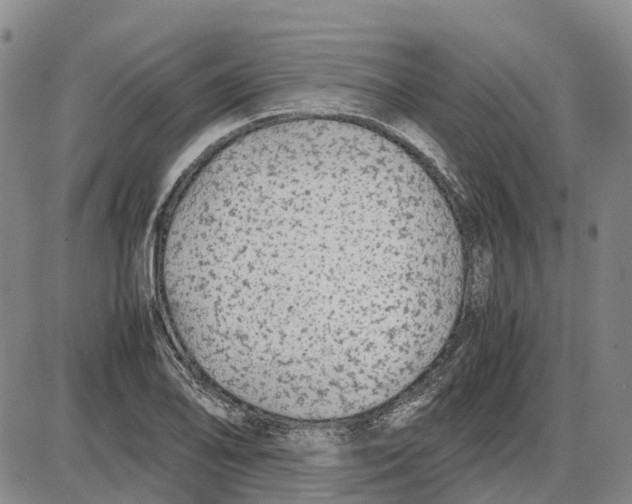 X0000085071078200704021405