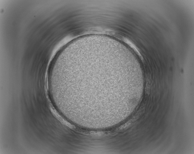 X0000085071080200704021405