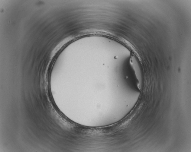 X0000085071082200704021405