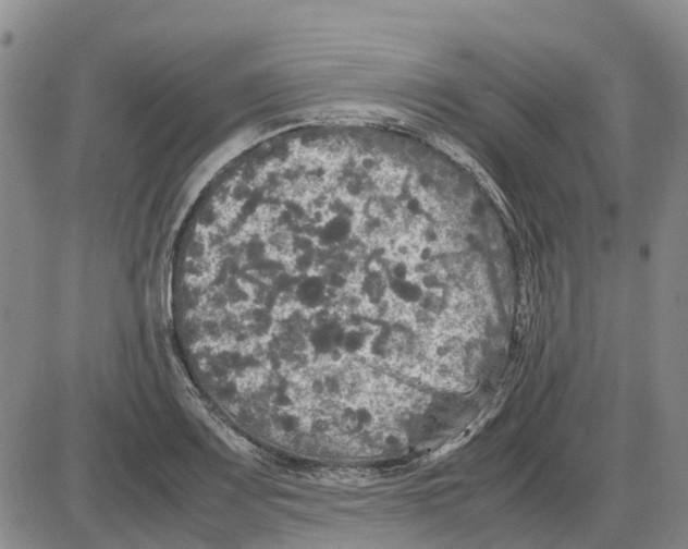 X0000085071083200704021405