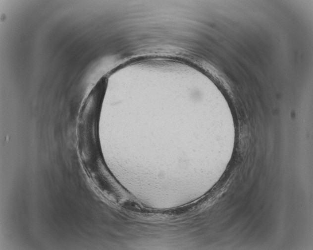 X0000085071085200704021405