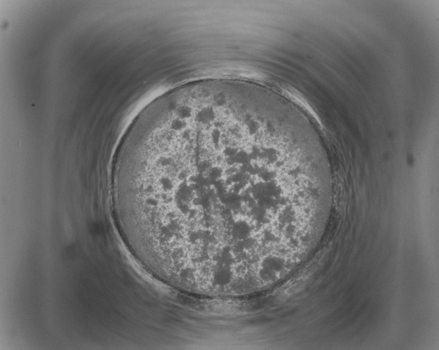 X0000085071087200704021405