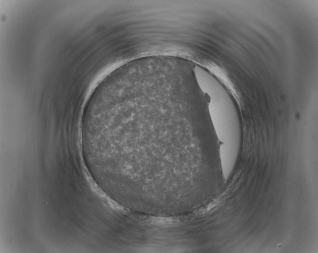 X0000085071088200704021405