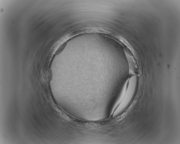 X0000085071089200704021405