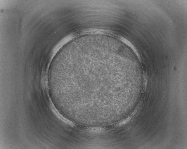 X0000085071090200704021405