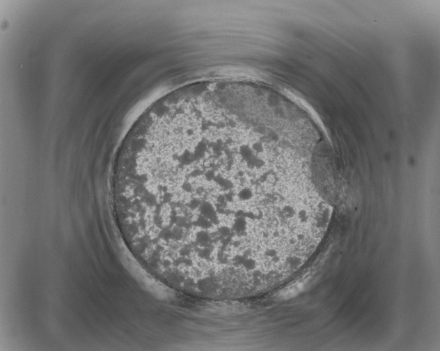 X0000085071091200704021404