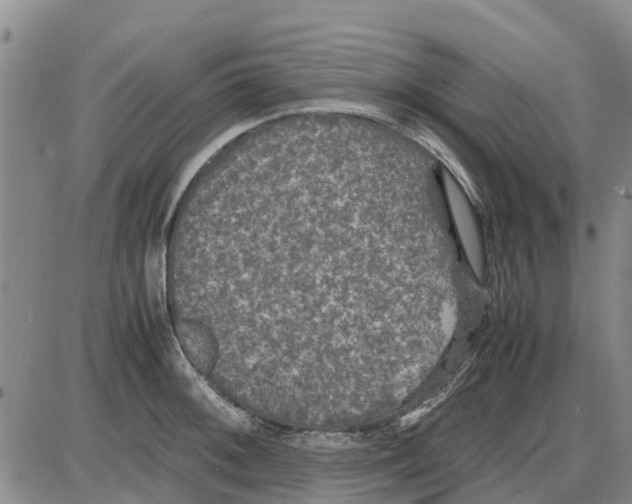 X0000085071092200704021404