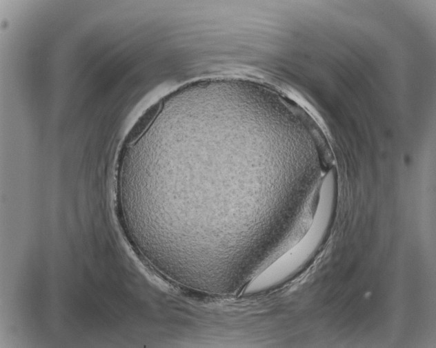 X0000085071093200704021404