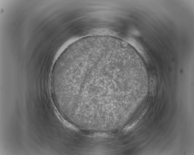 X0000085071094200704021404