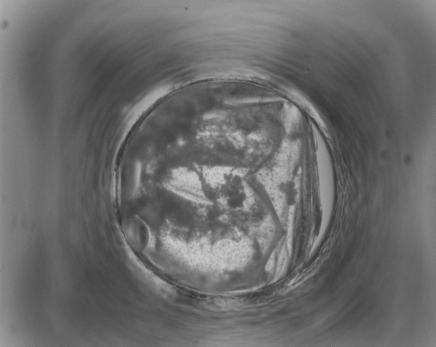 X0000085071095200704021404