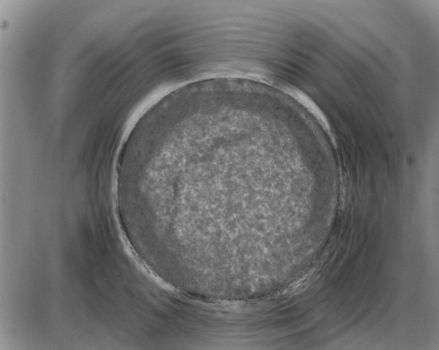 X0000085071096200704021404