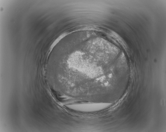 X0000085071097200704021404