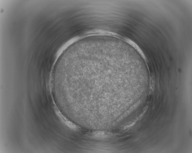 X0000085071098200704021404