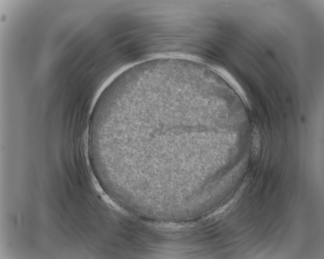 X0000085071100200704021404