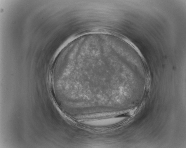 X0000085071101200704021404