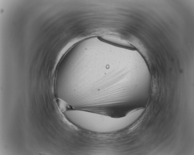 X0000085071102200704021404