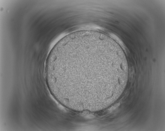 X0000085071103200704021404