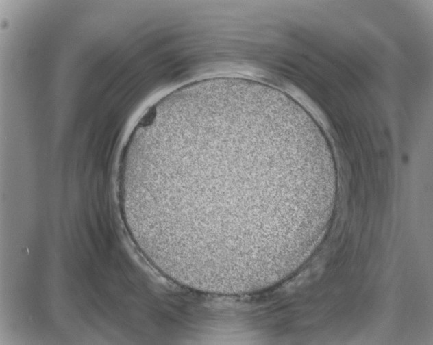 X0000085071104200704021404