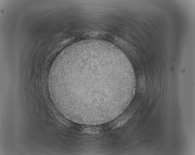 X0000085071105200704021403