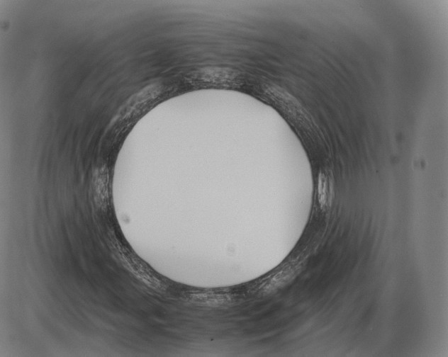 X0000085071107200704021403