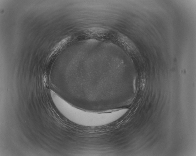 X0000085071108200704021404