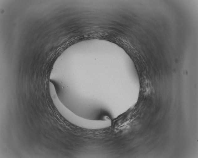 X0000085071109200704021404