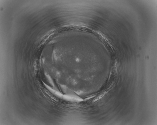 X0000085071110200704021404