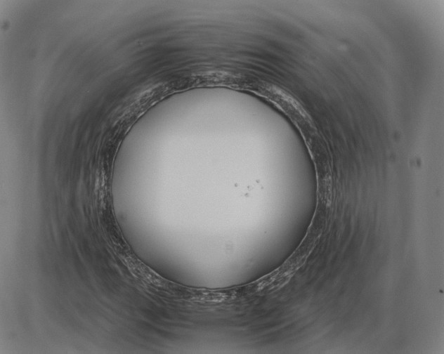 X0000085071111200704021404