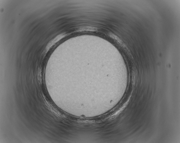 X0000085071113200704021404