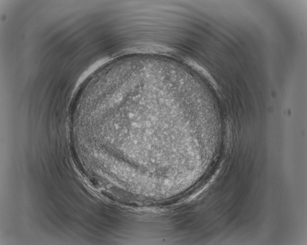 X0000085071114200704021404