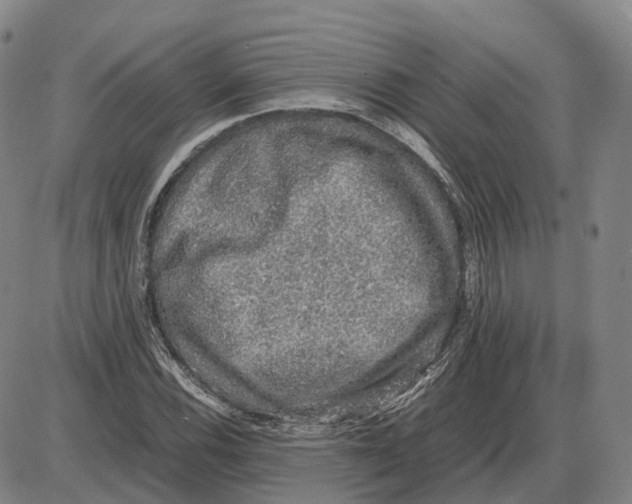 X0000085071116200704021404