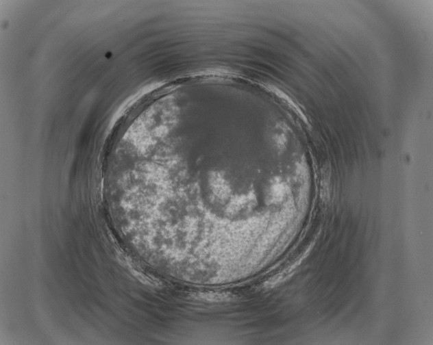 X0000085071117200704021404