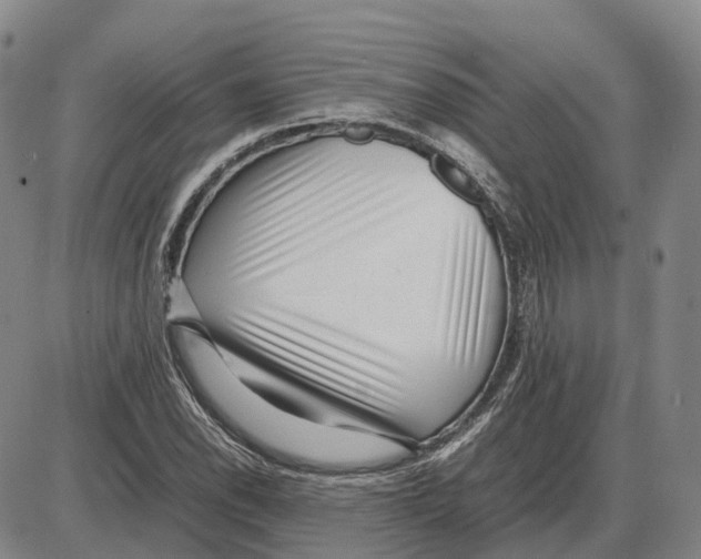 X0000085071118200704021404